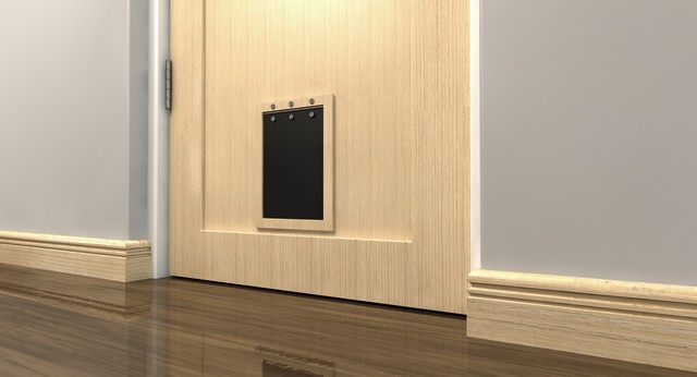 Cat Flap Installation Hackney, Homerton, E9